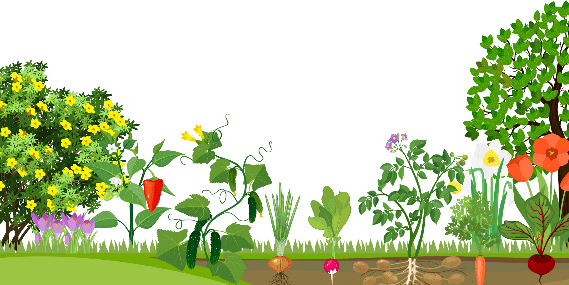FREE Online Gardening Course - Garden Tutor