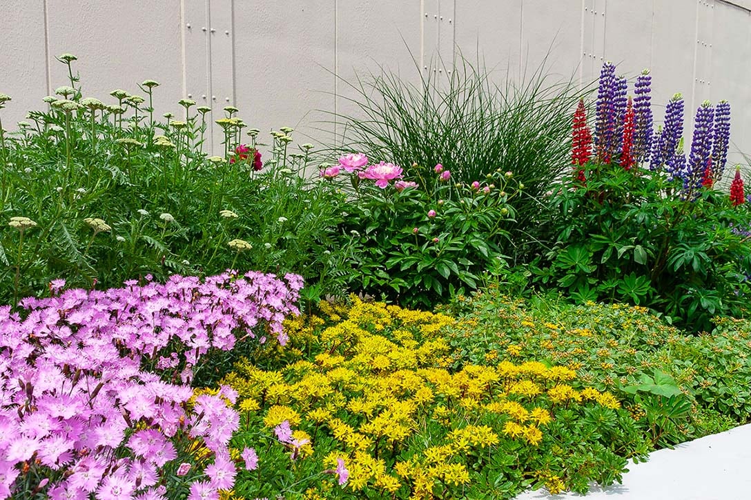 A mixed planting in a perennial garden to emphasize the use of variety when designing a garden