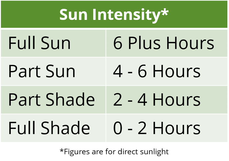 Sun Garden Tutor, How Much Sun Is Full To Part Shade