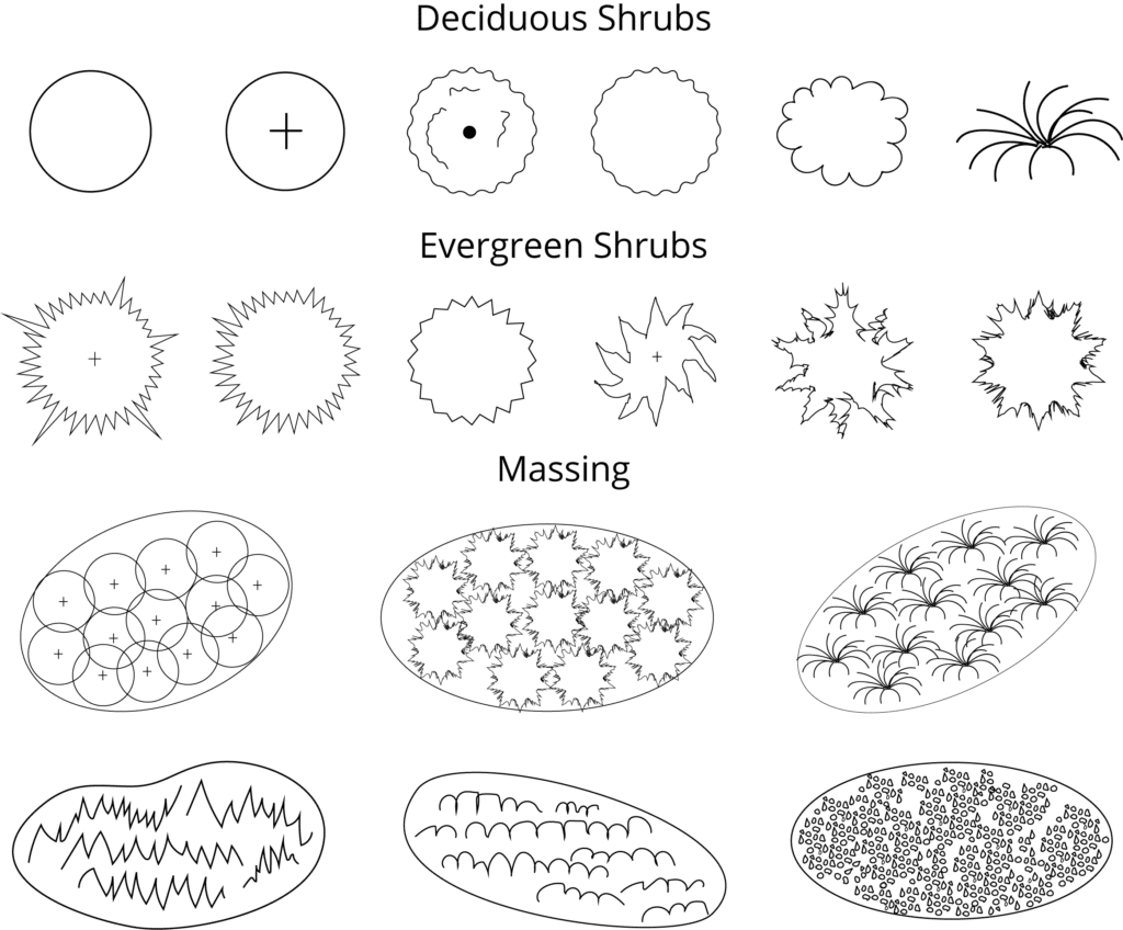 Landscape Design Symbols Shrubs and Massing