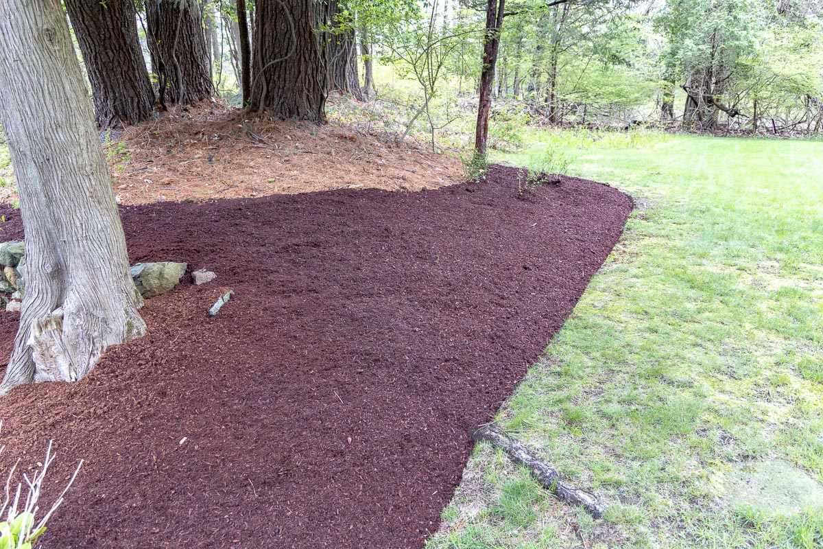 Mulching Garden Tutor