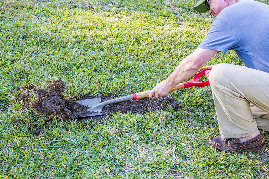 Garden Spade The One Tool Every Gardener Needs Garden Tutor