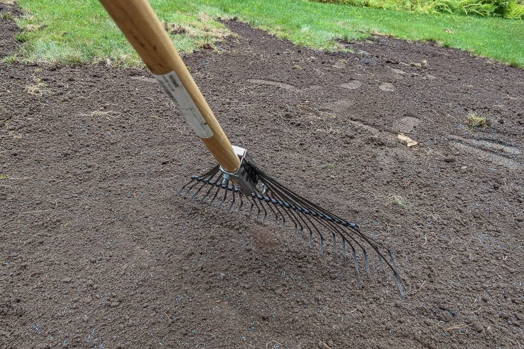 Spring steel metal tined rake raking grass seed into the ground