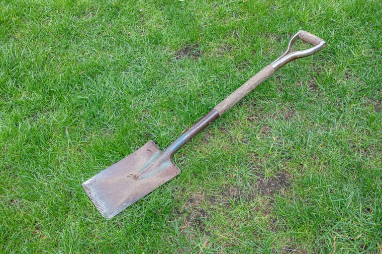 garden-spade-the-one-tool-every-gardener-needs-garden-tutor