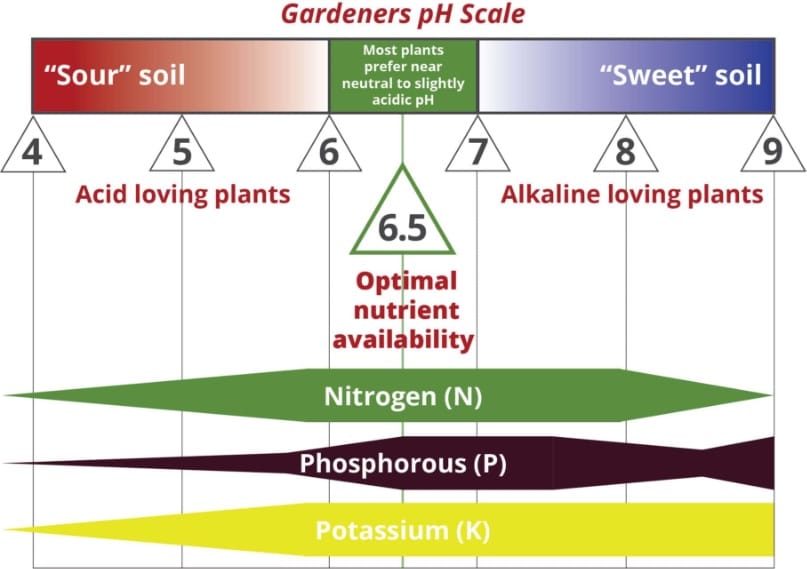 3.5-9 Range 100 Tests Garden Tutor Soil pH Test Strips 