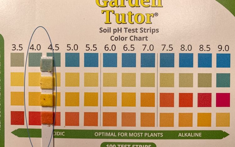LaMotte 1359 Soil pH Test Kit Color Chart Ph Range Finding 
